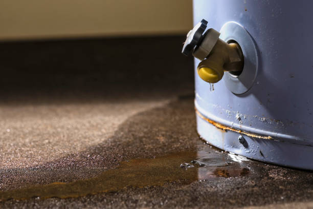 Best Residential water damage restoration  in Mapleton, UT