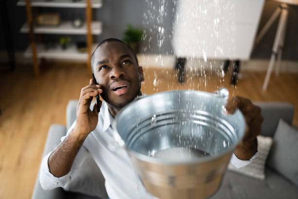 Best Water damage restoration near me  in Mapleton, UT