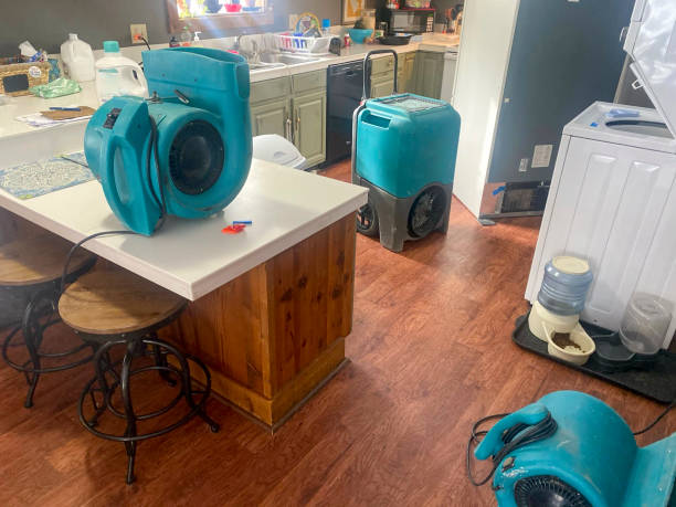 Best Local water damage restoration  in Mapleton, UT