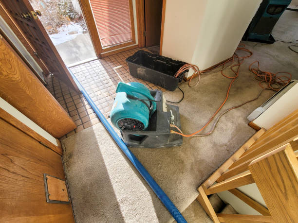 Trusted UT Water damage restoration Experts