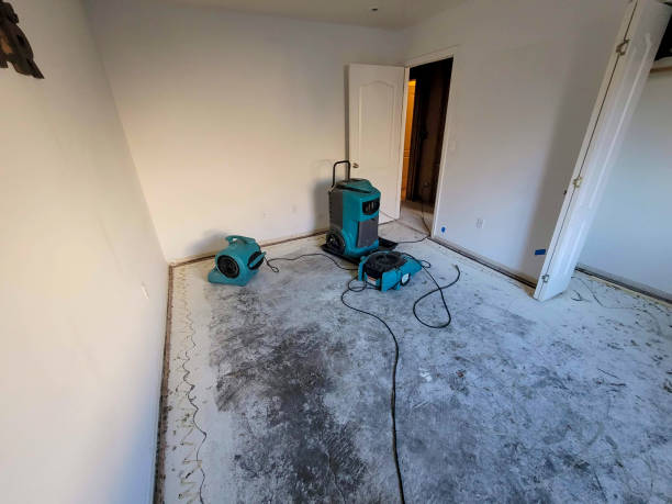 Best Carpet water damage restoration  in Mapleton, UT