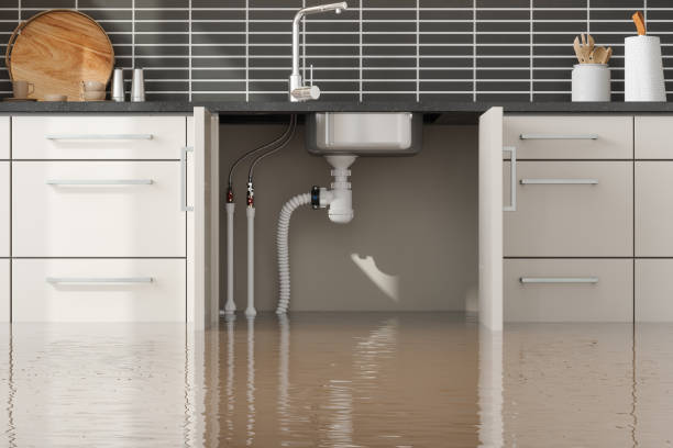 Best Ceiling water damage repair  in Mapleton, UT